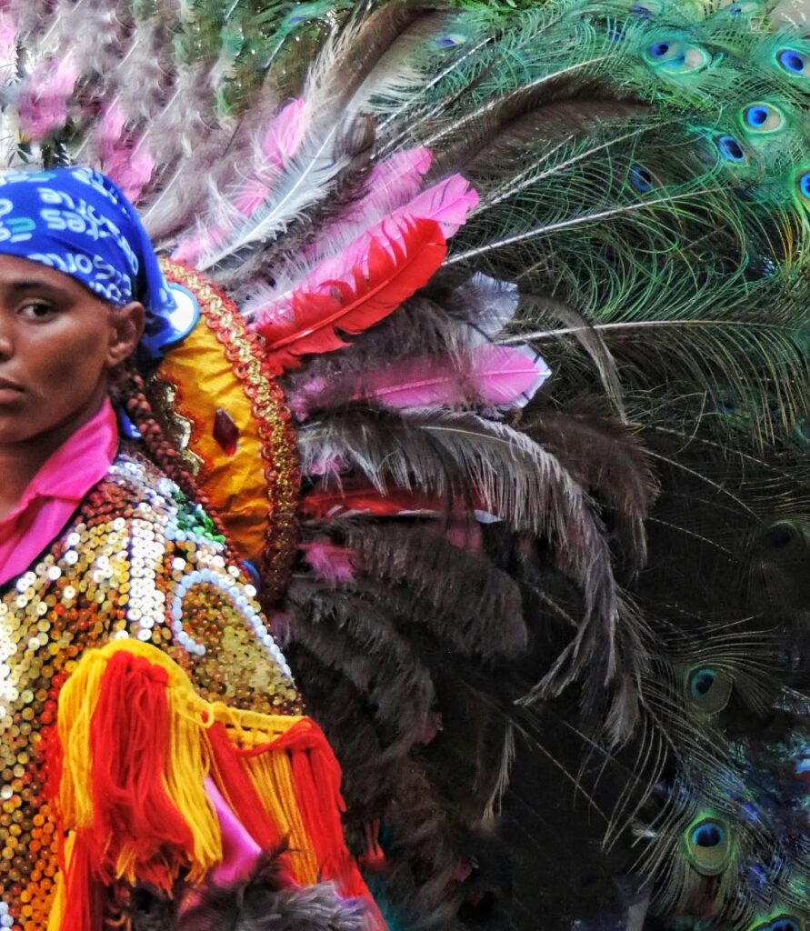 Eine Psychomagische Vision des Brasilianischen Karnevals